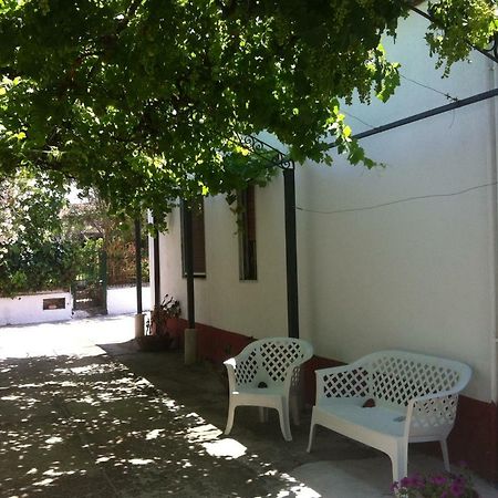 Casa Vacanze Paestum - Cilento Ngoại thất bức ảnh