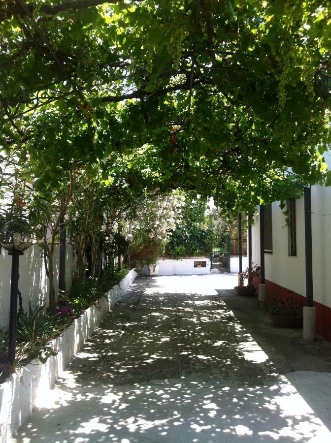 Casa Vacanze Paestum - Cilento Ngoại thất bức ảnh